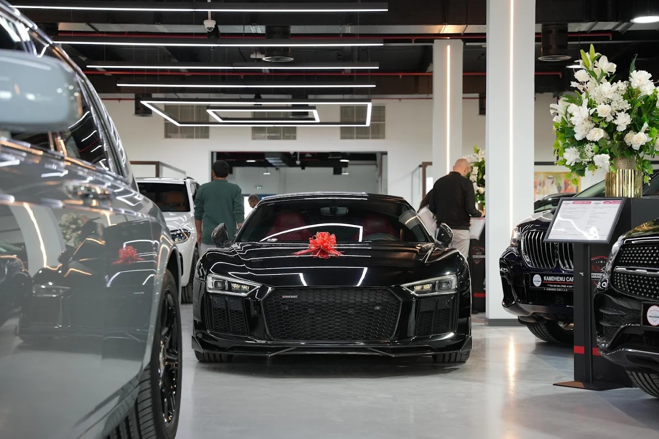 Audi RS Performance – Paint Restoration & Glass Coating
