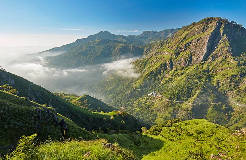 Misty Highlands