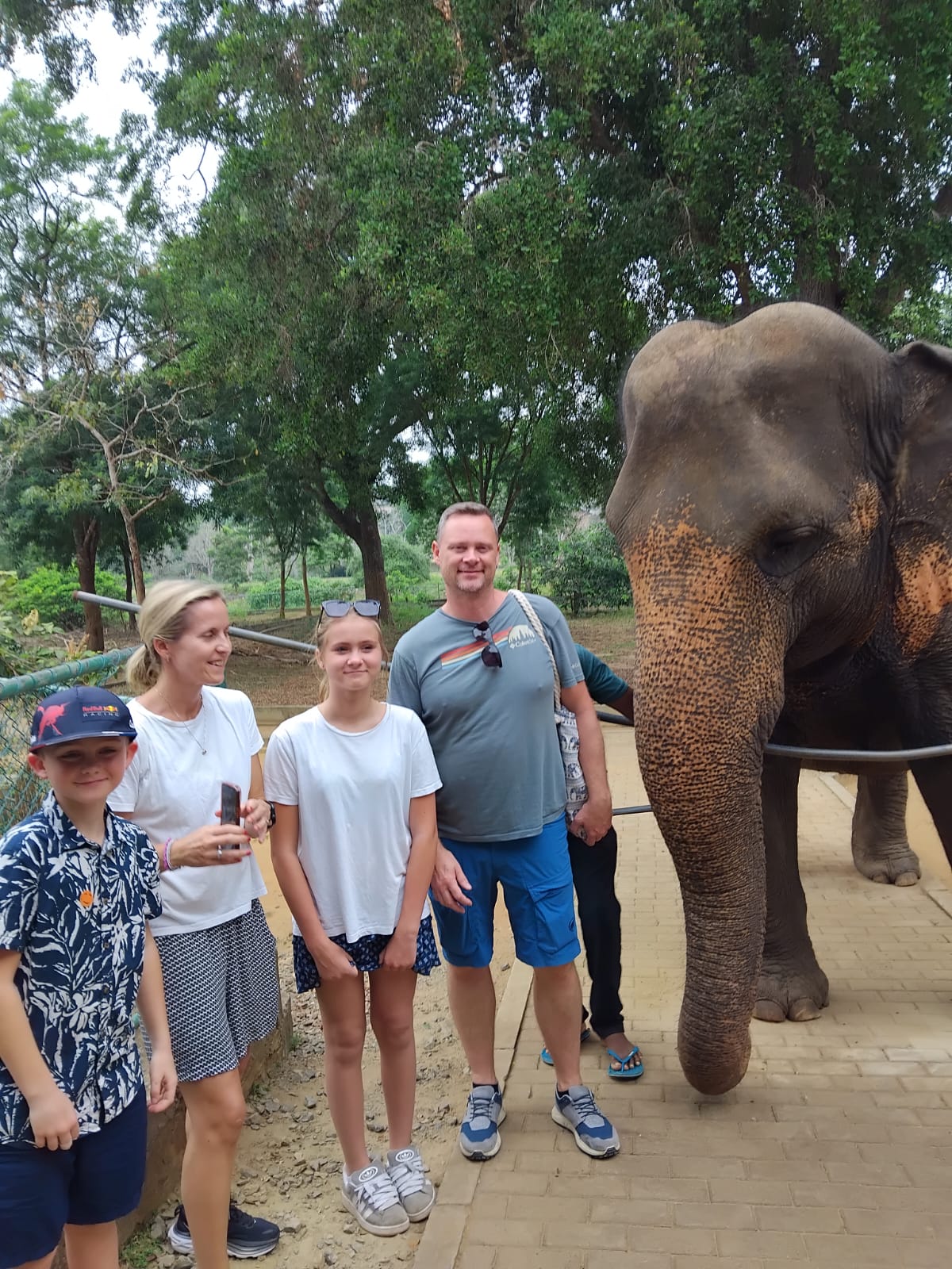 Elephant Watching