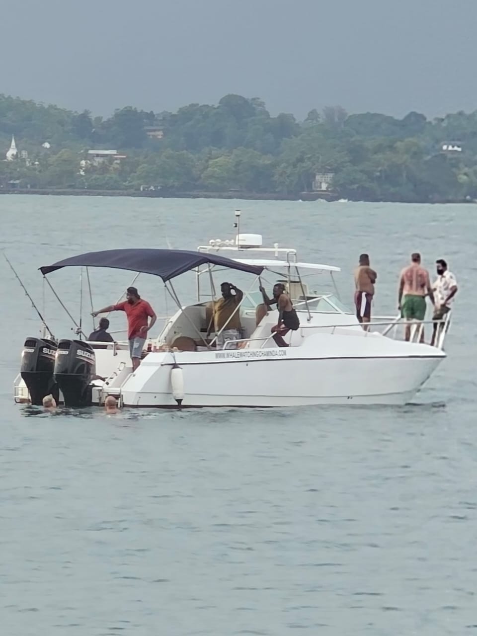 Boat Tours