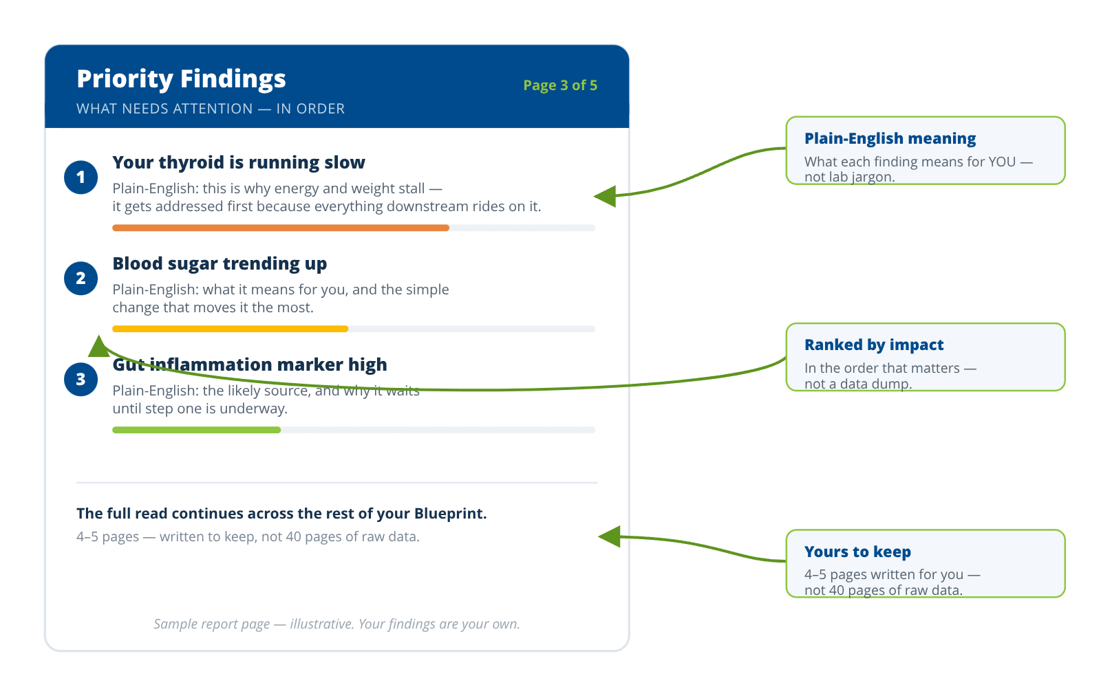 A sample Metabolic Blueprint Priority Findings page with callouts: plain-English meaning, ranked by impact (not a data dump), and yours to keep — 4 to 5 pages, not 40.