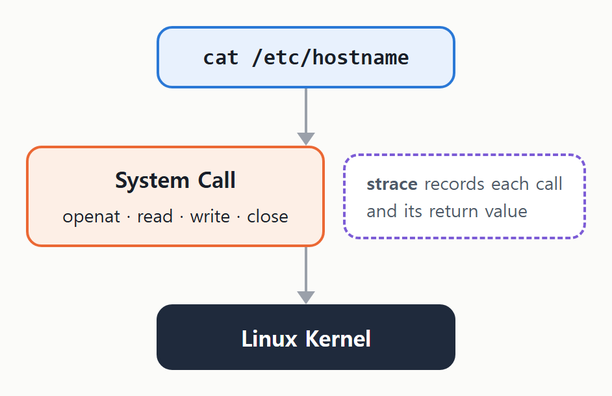 cat 이 System Call 로 Kernel 에 요청할 때마다 strace 가 그 호출과 반환값을 기록한다.