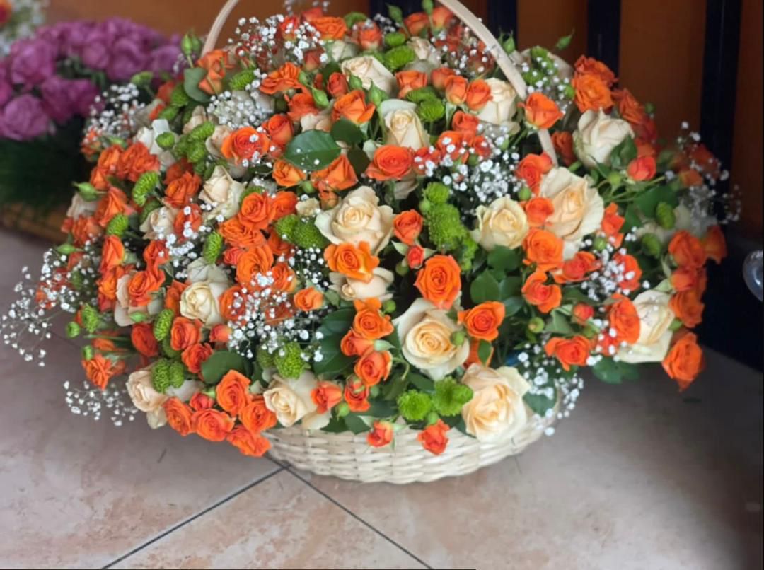 Arrangement Elite