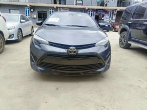 2019 TOYOTA Corolla