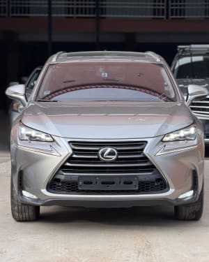 2017 LEXUS NX