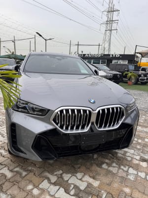 2025 BMW X6