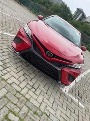 2019 TOYOTA Camry