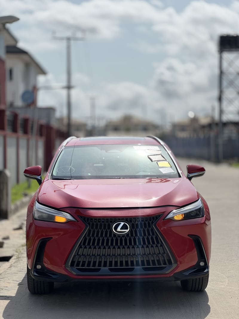 LEXUS NX 250 EX AWD AT Lagos Island