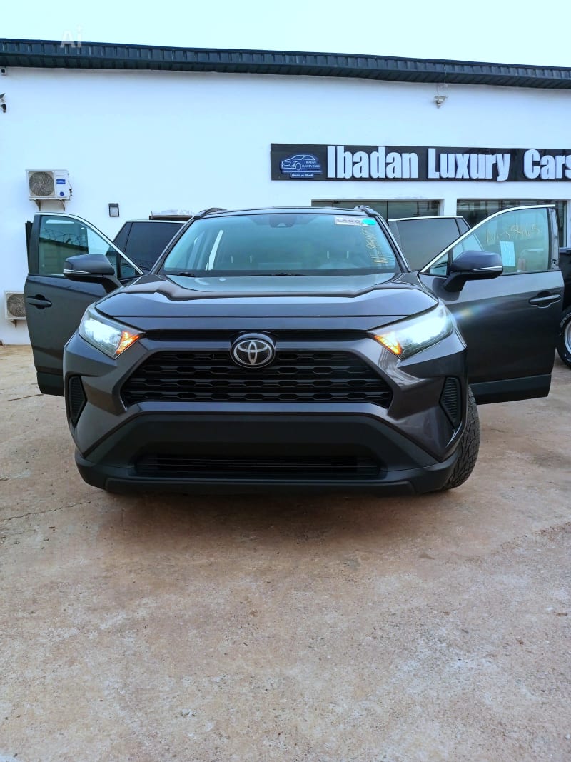 2019 TOYOTA Toyota RAV4 LE