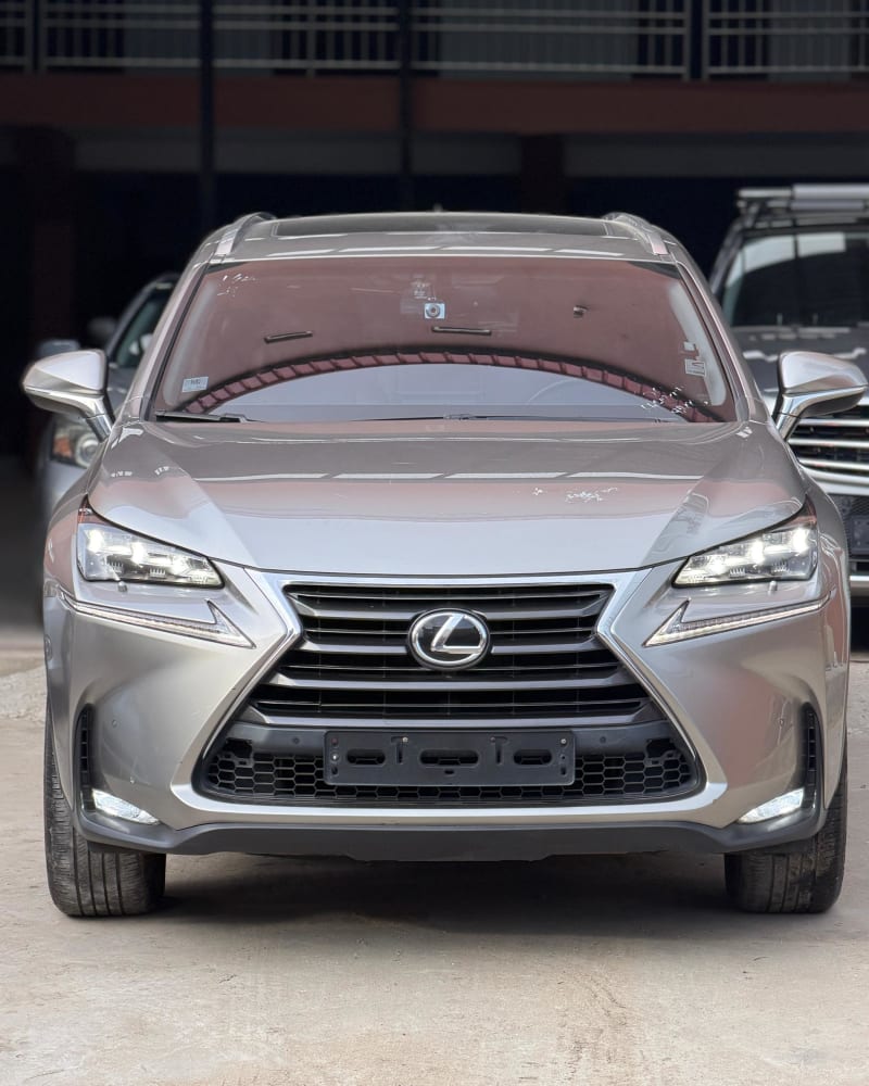 2017 LEXUS LEXUS NX NX 200t EX AWD AT