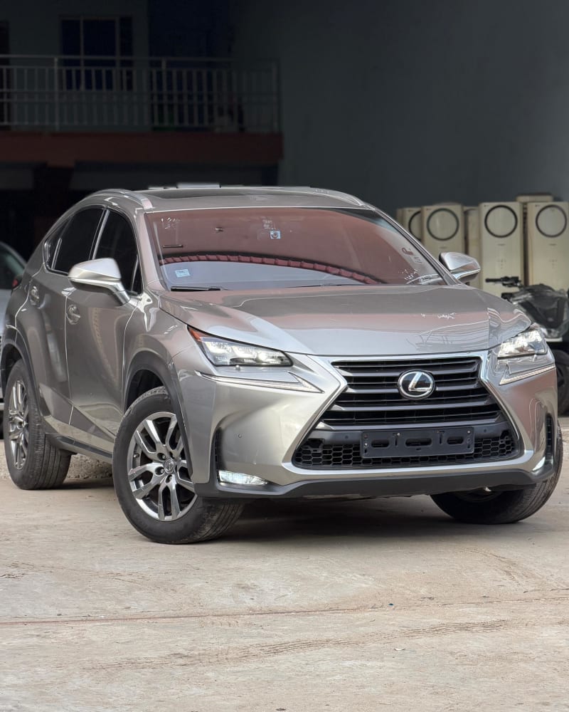 LEXUS NX 200t EX AWD AT Ojo