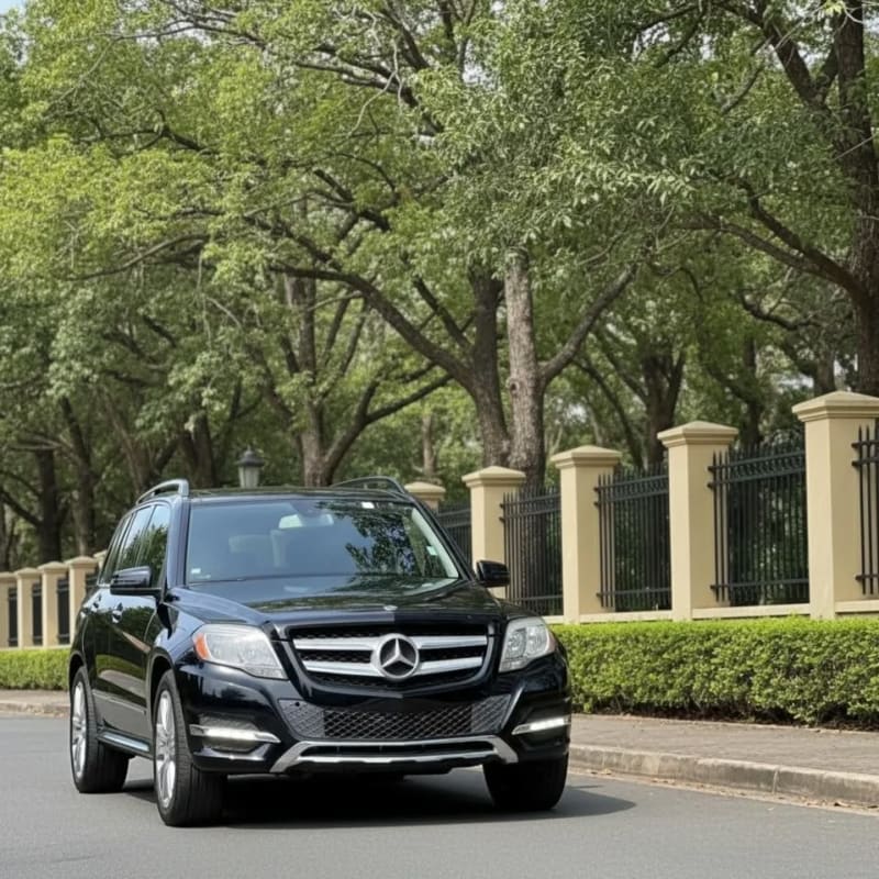 MERCEDES-BENZ Mercedes Benz GLK GLK 350 Municipal Area Council