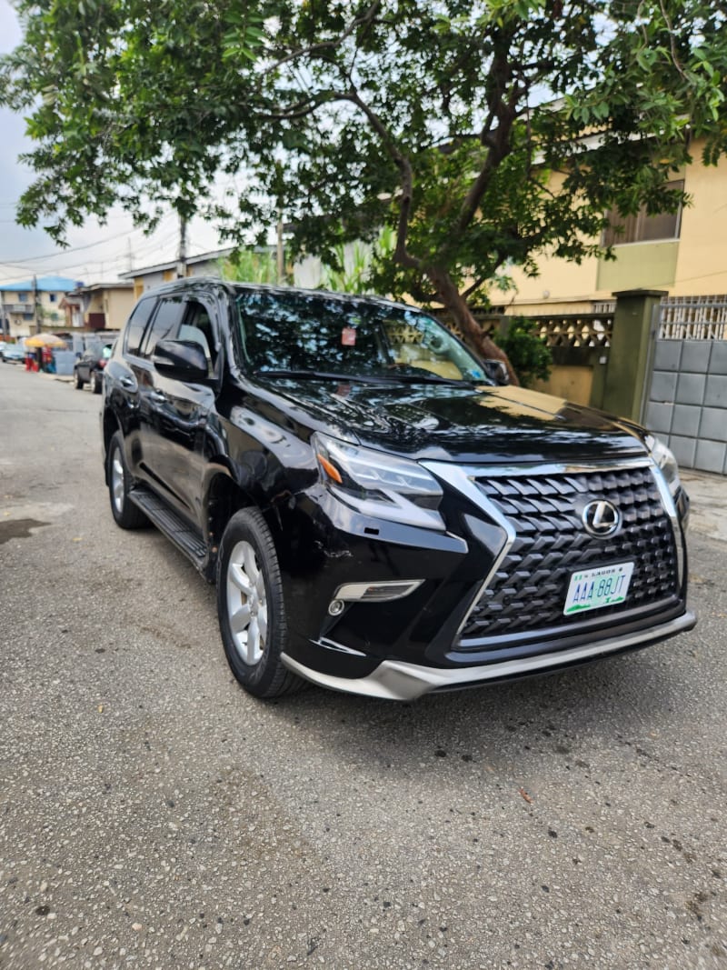 2010 LEXUS LEXUS GX 460 Luxury