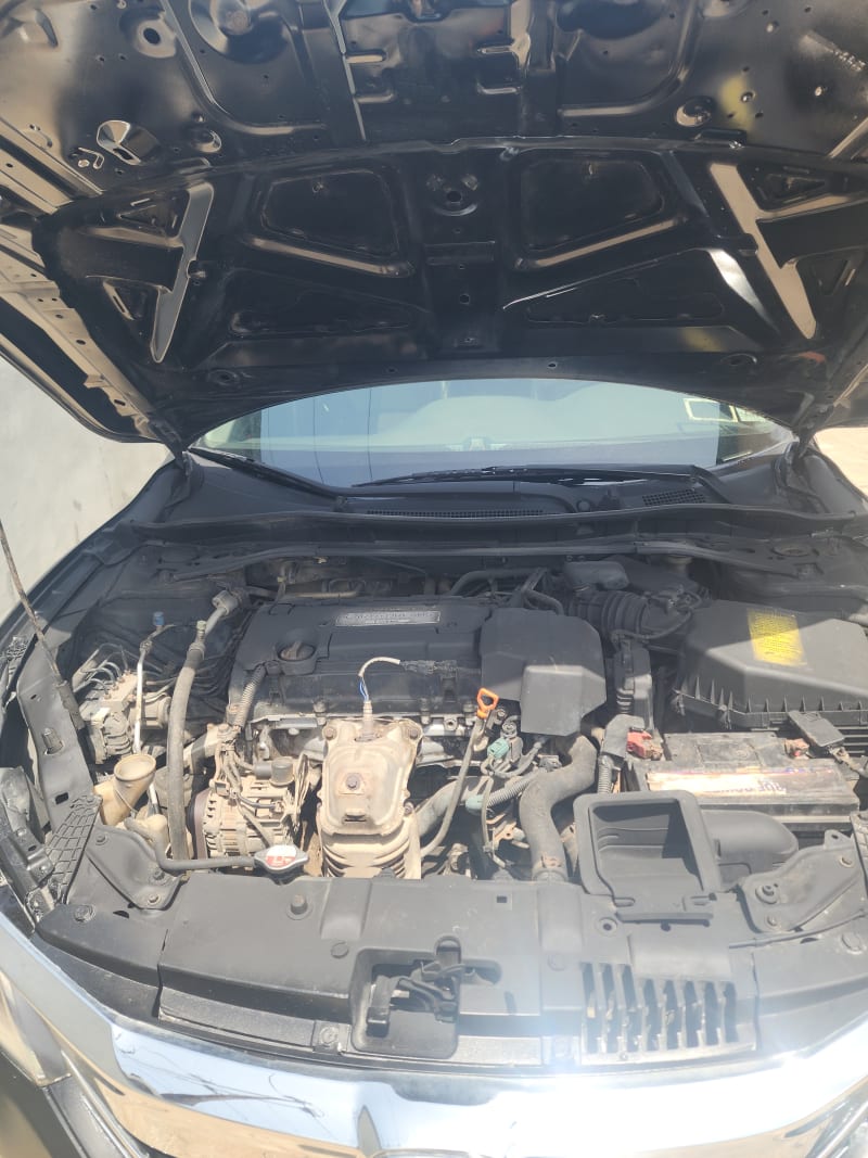 HONDA HONDA Accord 2.0 L L4 Oluyole