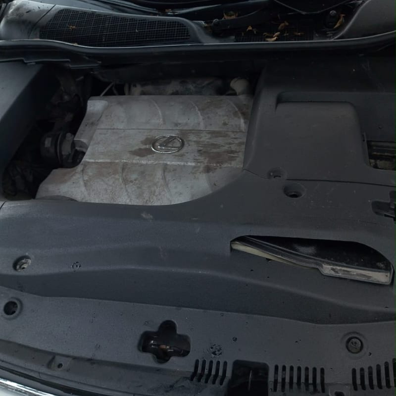 LEXUS LEXUS RX 350 Ojo