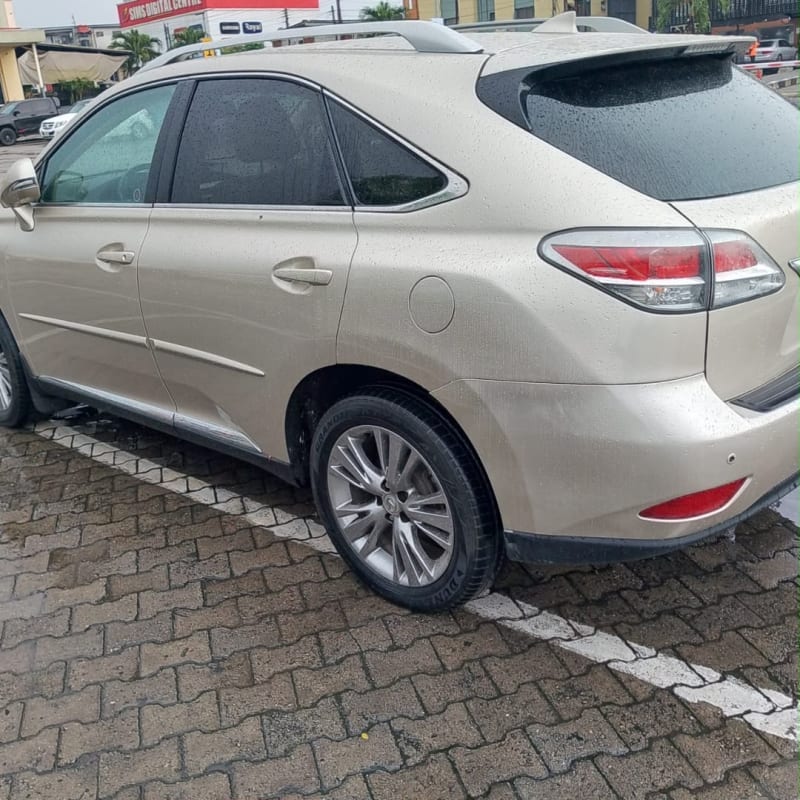 LEXUS LEXUS RX 350 Ojo