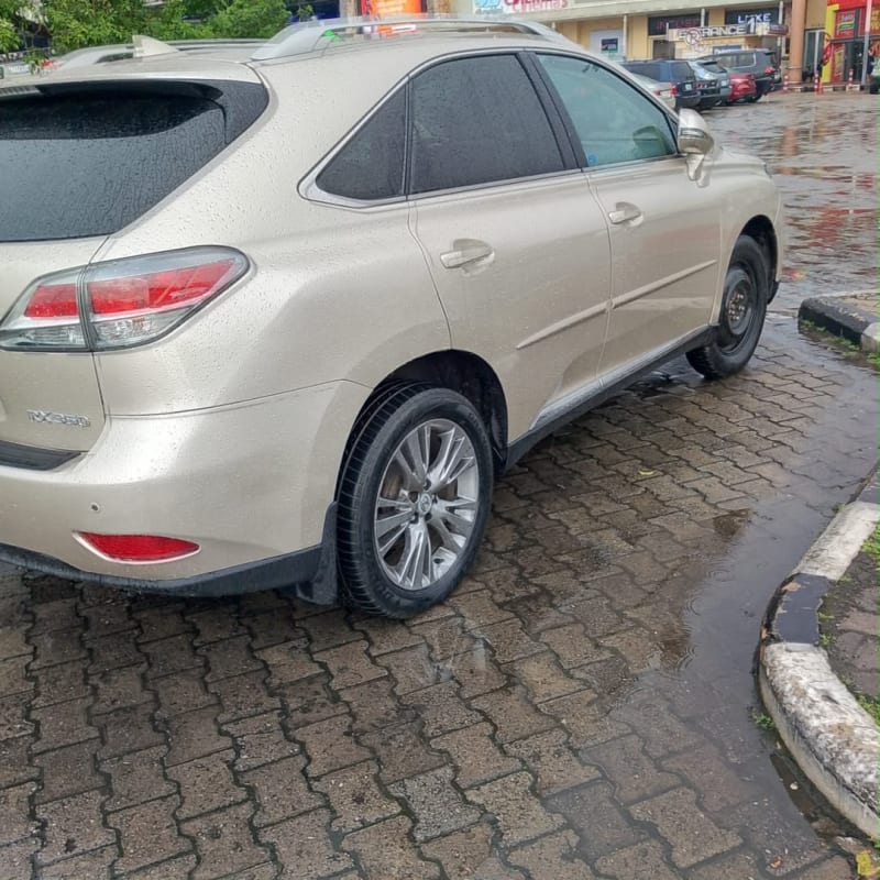 LEXUS LEXUS RX 350 Ojo