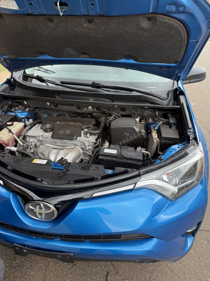 TOYOTA RAV4 LE Municipal Area Council