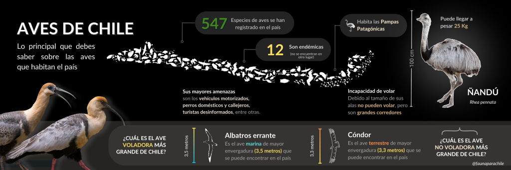 Infografía 1