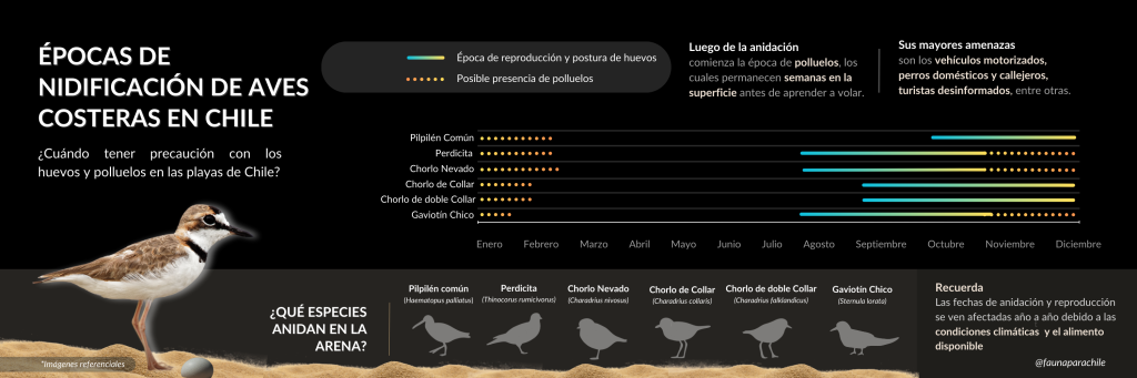 Infografía 2