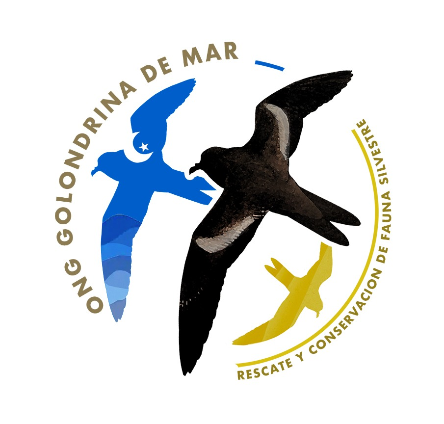 ONG Golondrina de Mar