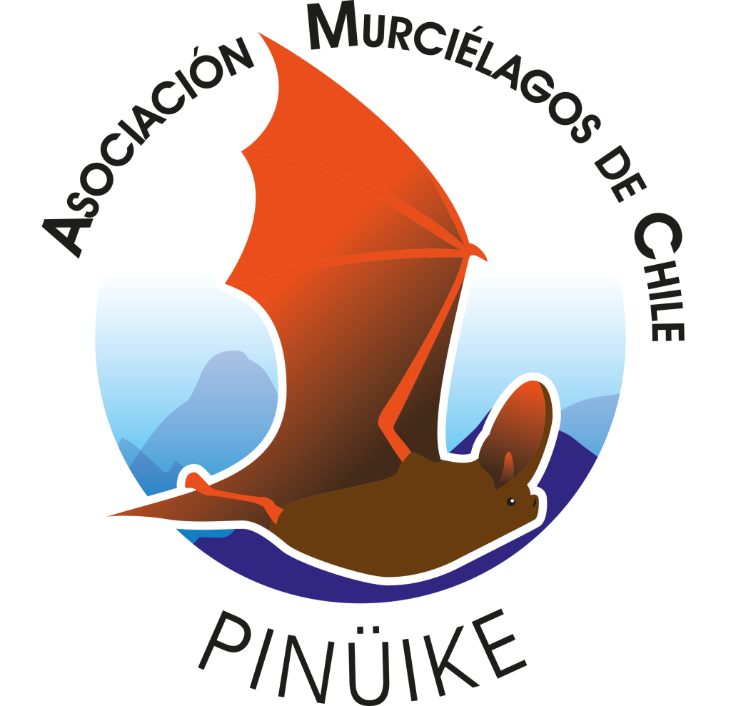 Murciélagos de Chile Piñüke