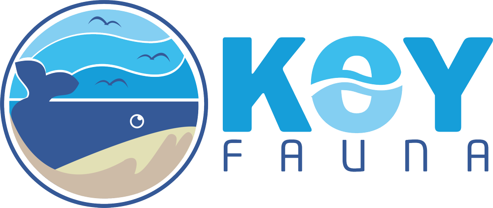 Koy-Fauna