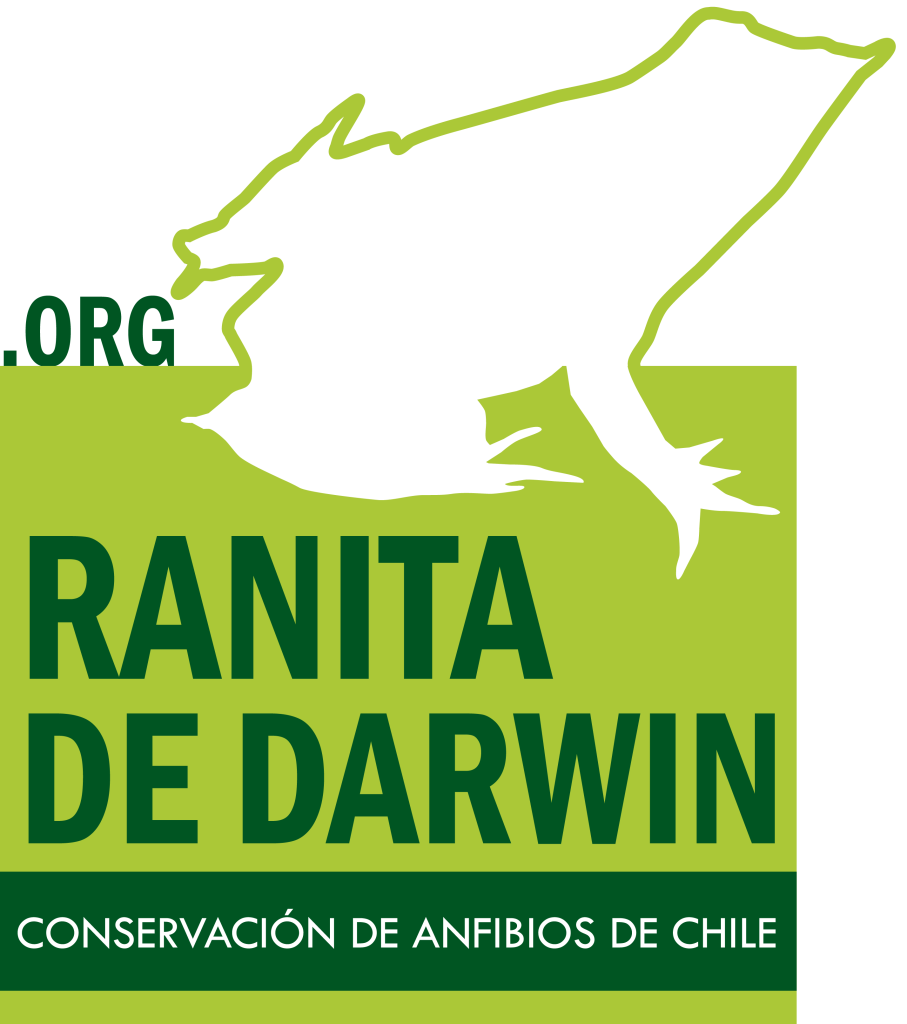 Ranita de Darwin