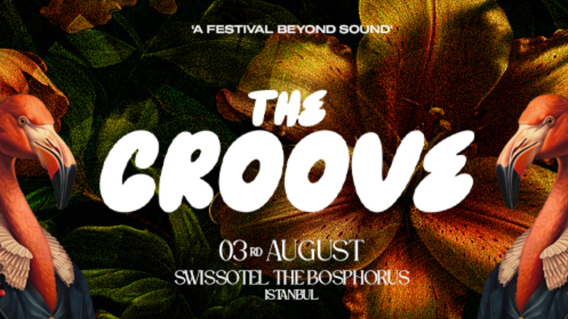 The Groove