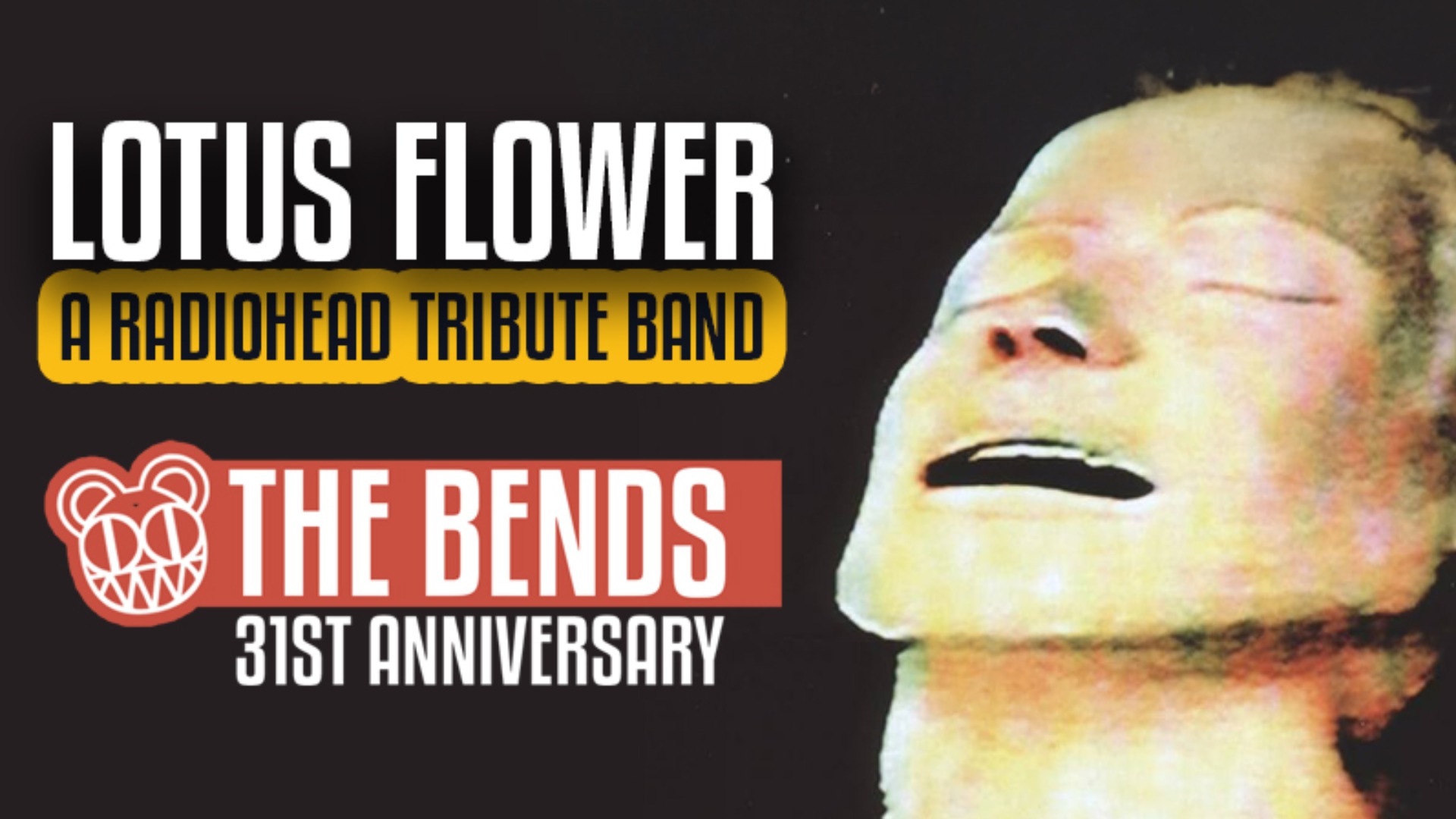 Lotus Flower (Radiohead Tribute Band)