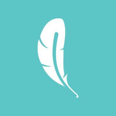 Safetywing logo
