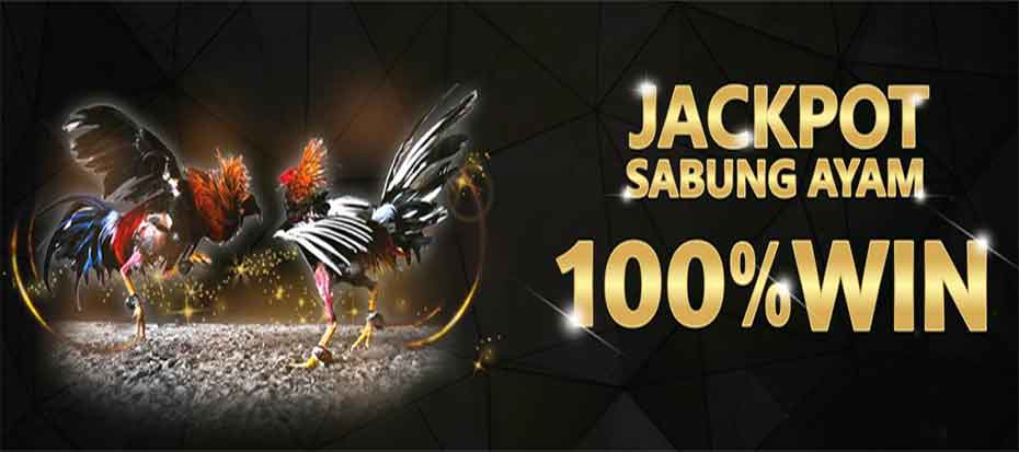 SV388 LINK DAFTAR SABUNG AYAM ONLINE SITUS AGEN JUDI SV388 24JAM RESMI