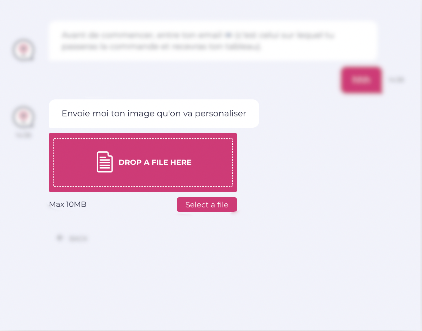 Ajout de la photo au chat