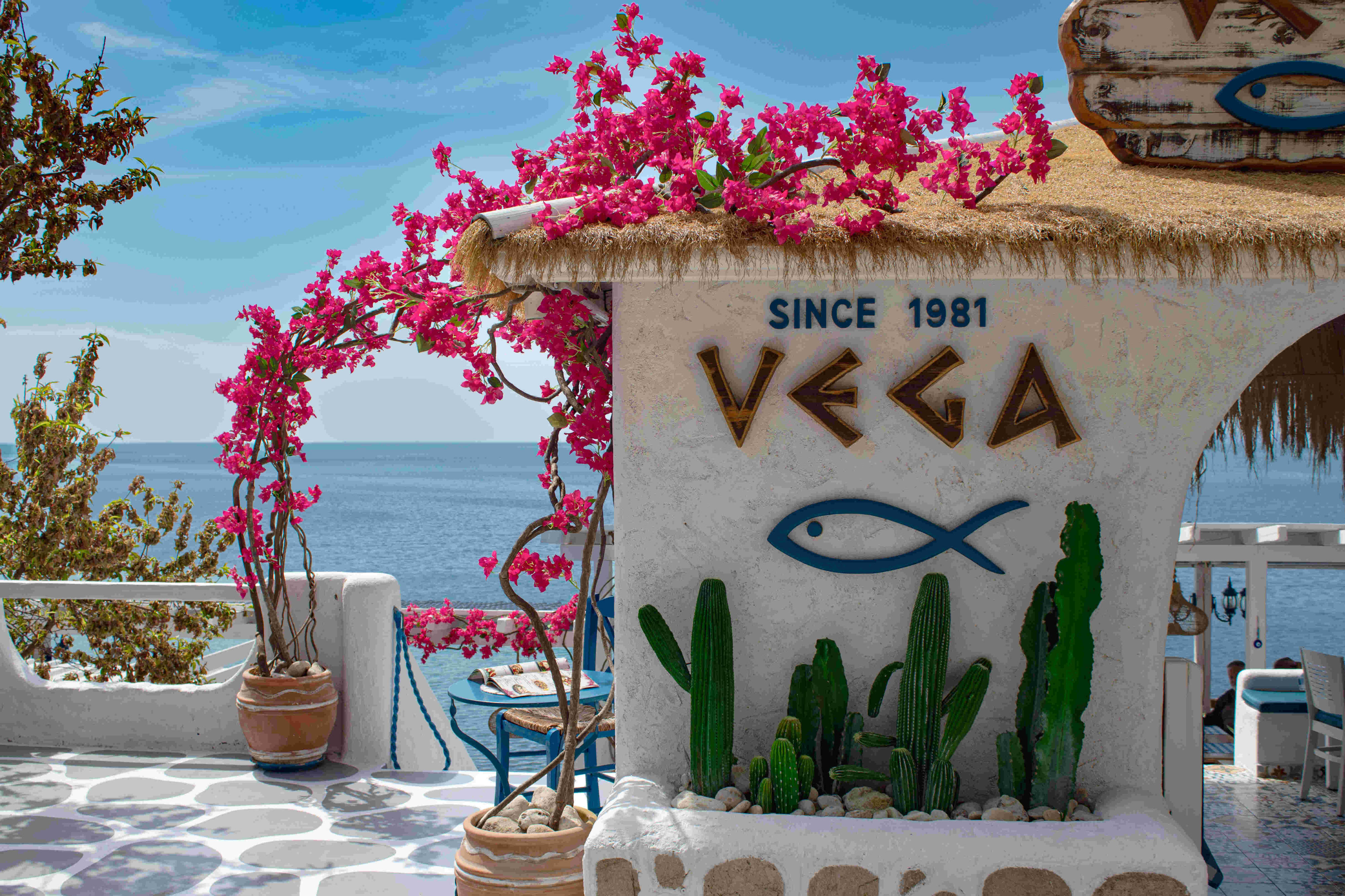 Restaurant Vega