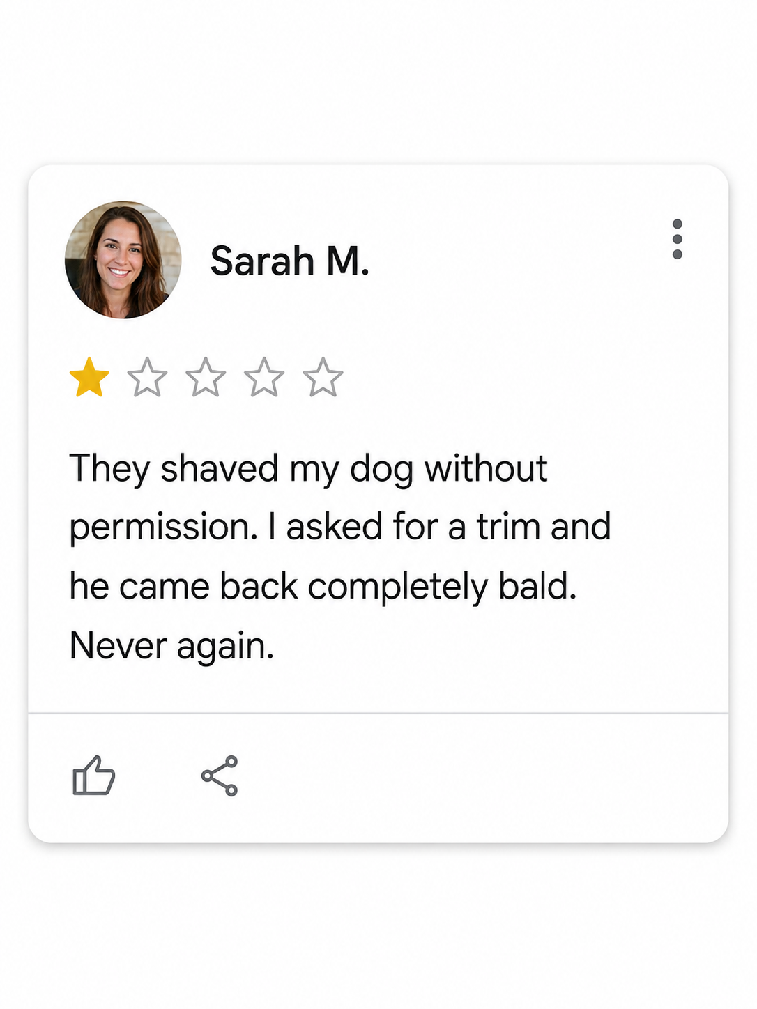 Recensione Google da una stella: hanno rasato il mio cane senza permesso