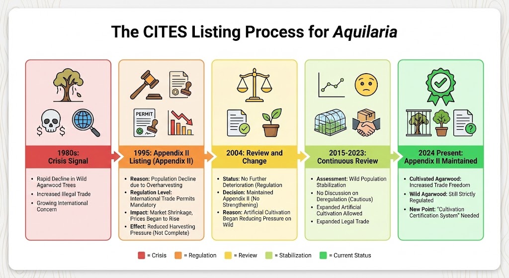 03_timeline_cites-listing
