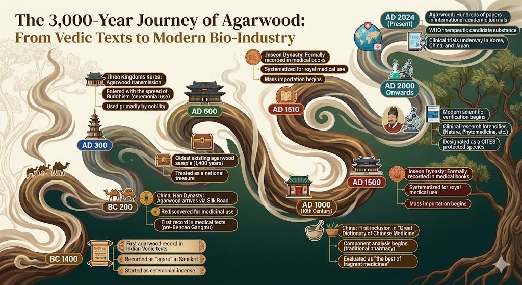 The 3,000-Year Journey of Agarwood