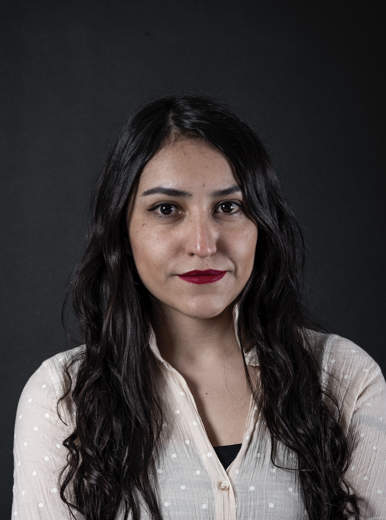 Daniela Mariana López Castillo. MX. Software Engineer Profile