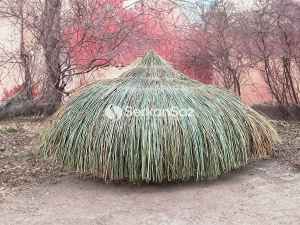 Bambu Şemsiye