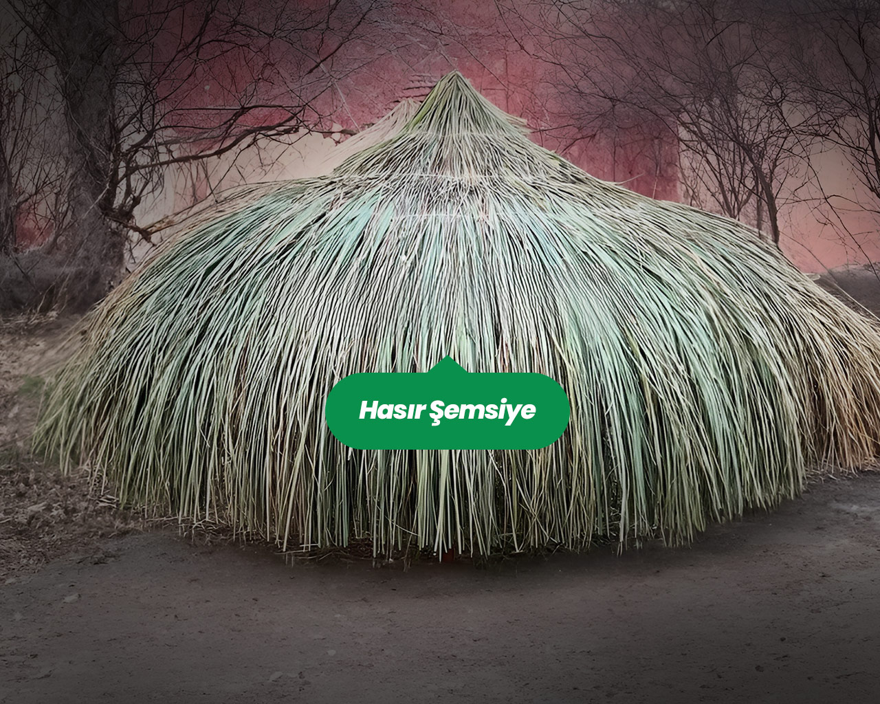 Hasır Şemsiye ve Kamış Şemsiye Arasındaki Farklar Nelerdir?