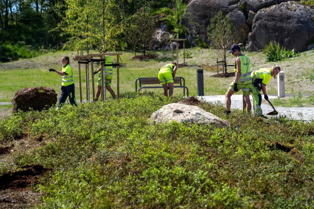 Referanseprosjekt: Lyngmatter på Egersund gravlund – Eigersund