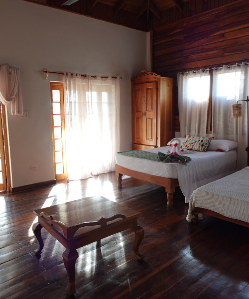 Shared Accommodation