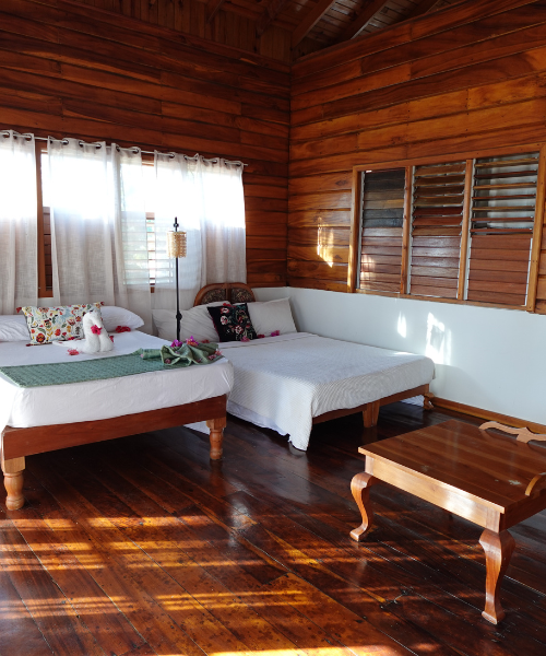 Shared Accommodation 