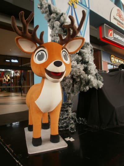 Deer