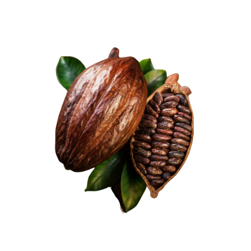 Cocoa Powder