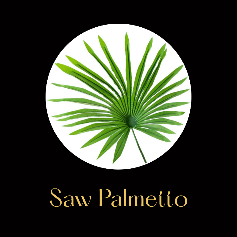 Saw Palmetto