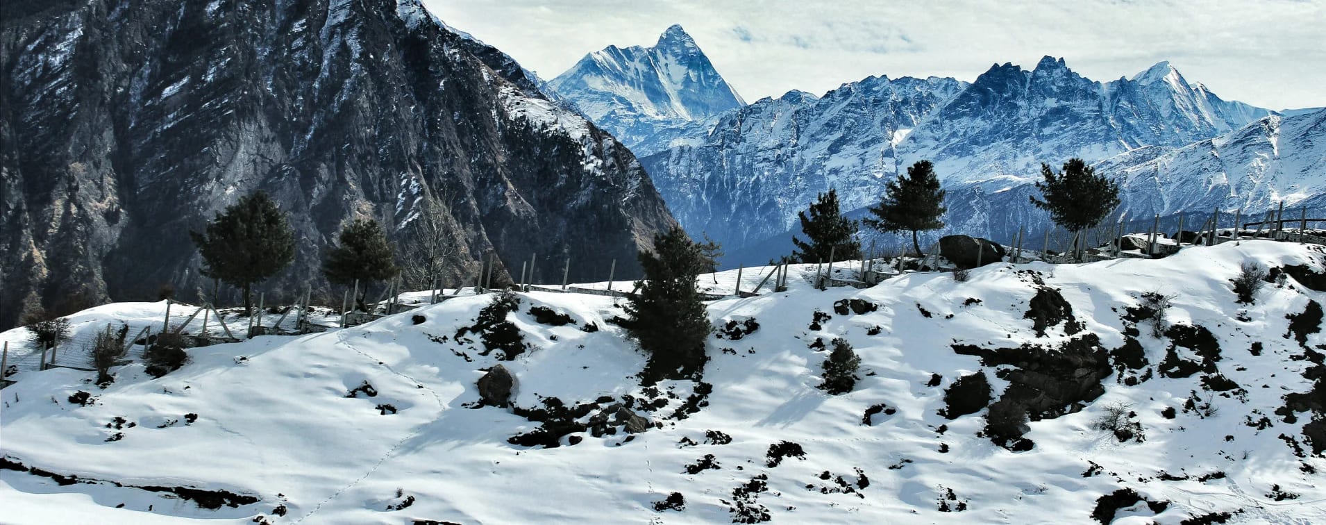 Auli Snow View