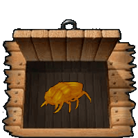 Fire Beetle Untrained