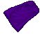 Royal Guard Investigator