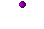 A Candied Snowplum